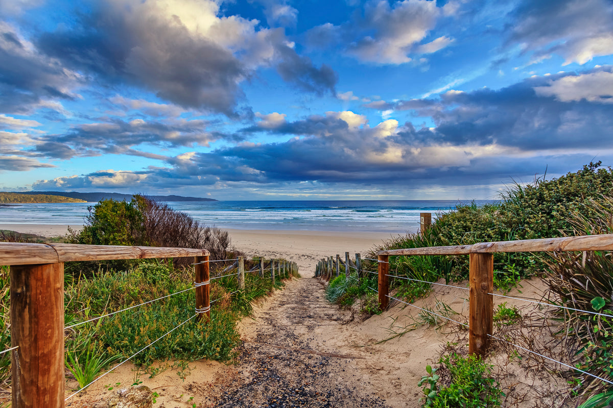 The 5 Best Campsites Near Surf Beaches in NSW